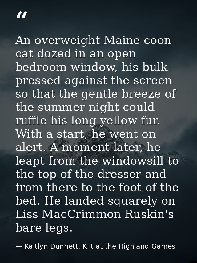 An overweight Maine coon cat dozed in an open bedroom window, his bulk pressed against the screen so that the gentle bre — Kaitlyn Dunnett, Kilt at the Highland Games