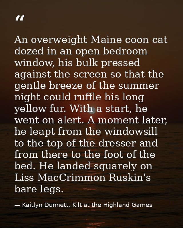 An overweight Maine coon cat dozed in an open bedroom window, his bulk pressed against the screen so that the gentle bre — Kaitlyn Dunnett, Kilt at the Highland Games