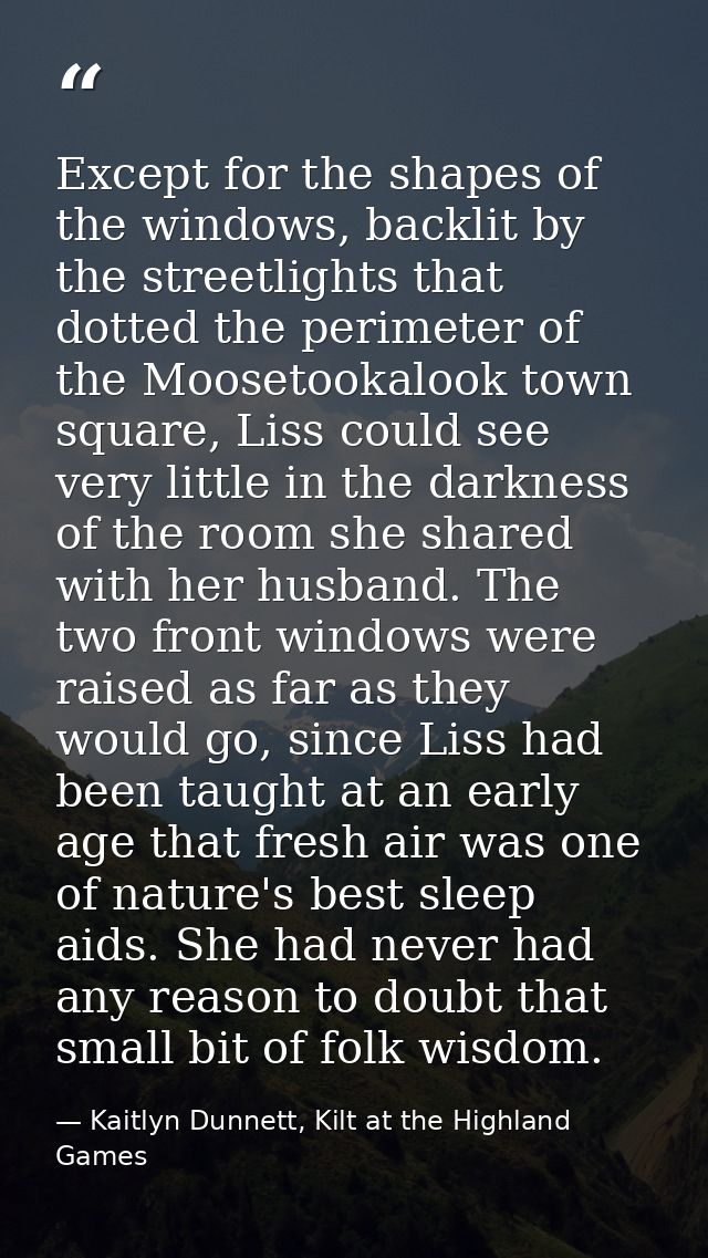 Except for the shapes of the windows, backlit by the streetlights that dotted the perimeter of the Moosetookalook town s — Kaitlyn Dunnett, Kilt at the Highland Games