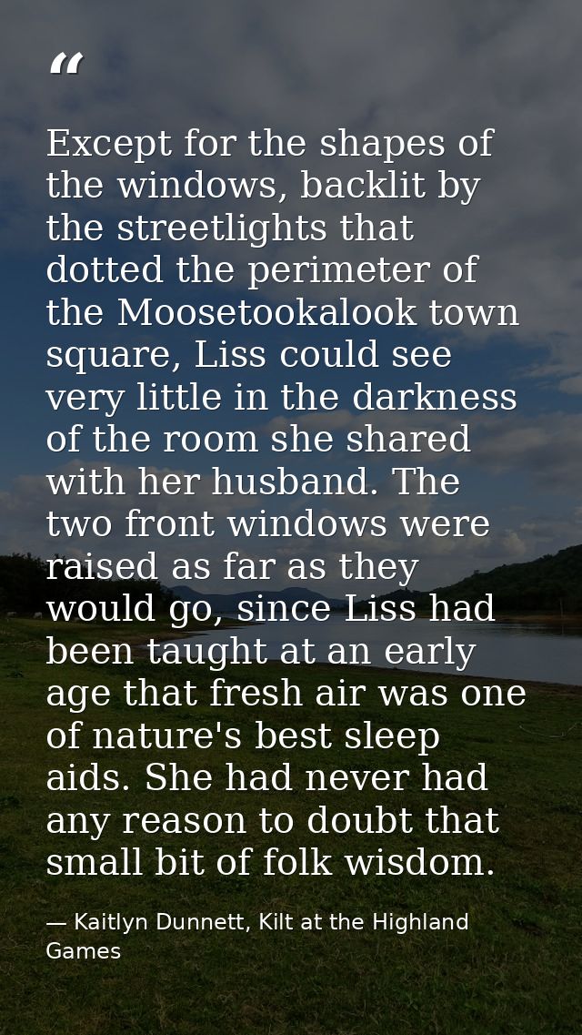 Except for the shapes of the windows, backlit by the streetlights that dotted the perimeter of the Moosetookalook town s — Kaitlyn Dunnett, Kilt at the Highland Games