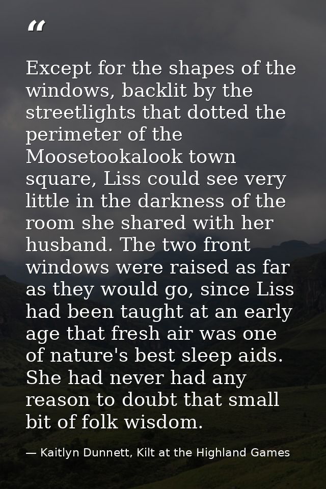 Except for the shapes of the windows, backlit by the streetlights that dotted the perimeter of the Moosetookalook town s — Kaitlyn Dunnett, Kilt at the Highland Games