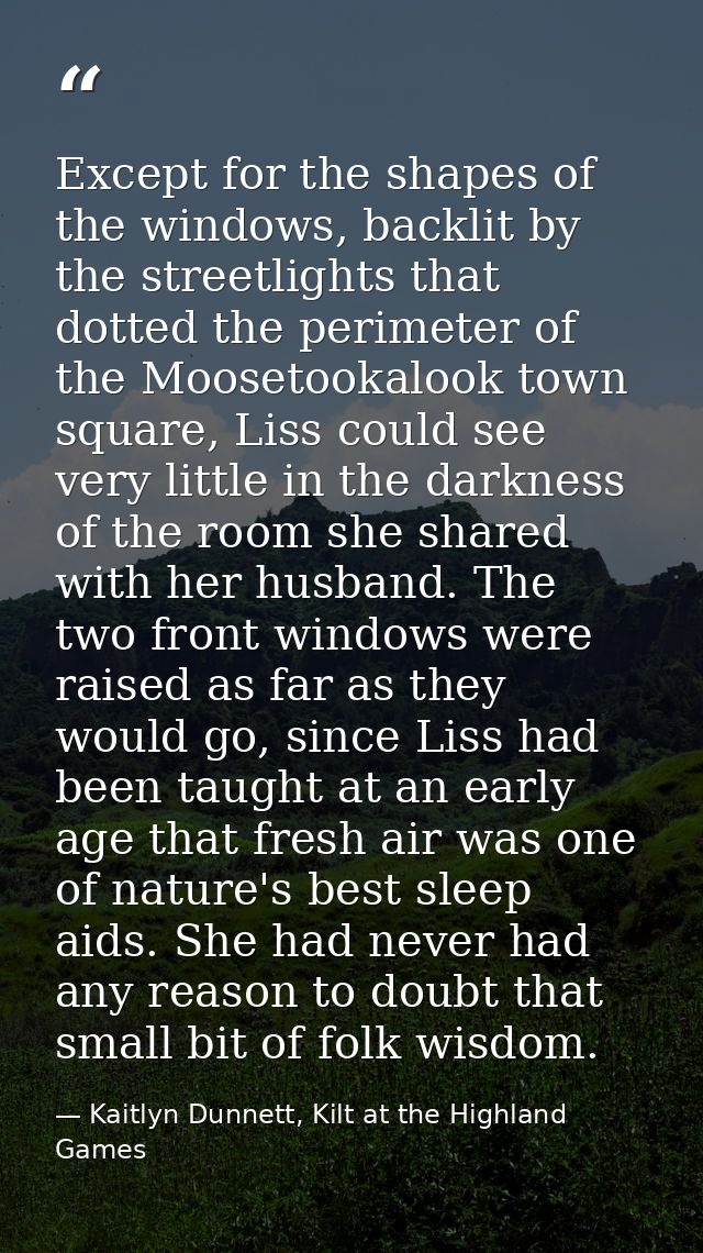 Except for the shapes of the windows, backlit by the streetlights that dotted the perimeter of the Moosetookalook town s — Kaitlyn Dunnett, Kilt at the Highland Games