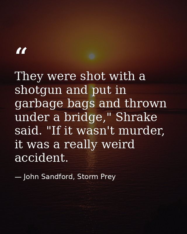 They were shot with a shotgun and put in garbage bags and thrown under a bridge," Shrake said. "If it wasn't murder, it  — John Sandford, Storm Prey