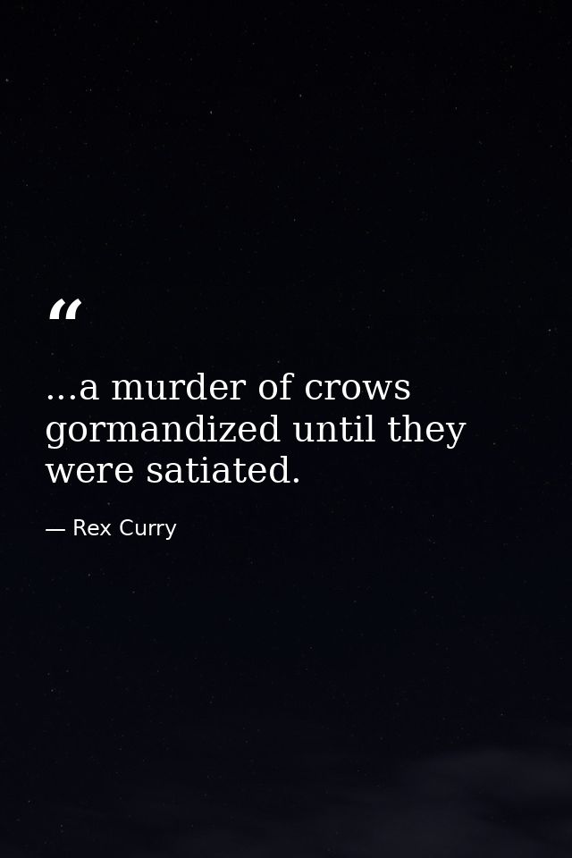 ...a murder of crows gormandized until they were satiated. — Rex Curry