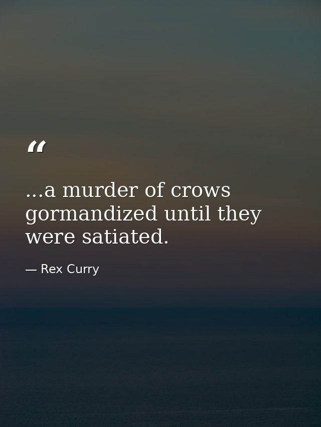...a murder of crows gormandized until they were satiated. — Rex Curry