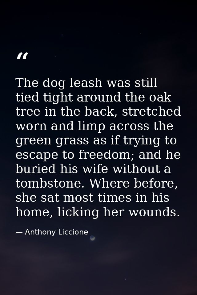 The dog leash was still tied tight around the oak tree in the back, stretched worn and limp across the green grass as if — Anthony Liccione