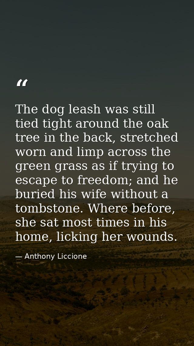The dog leash was still tied tight around the oak tree in the back, stretched worn and limp across the green grass as if — Anthony Liccione