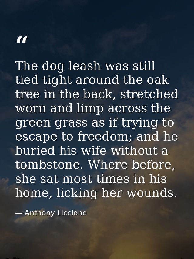 The dog leash was still tied tight around the oak tree in the back, stretched worn and limp across the green grass as if — Anthony Liccione