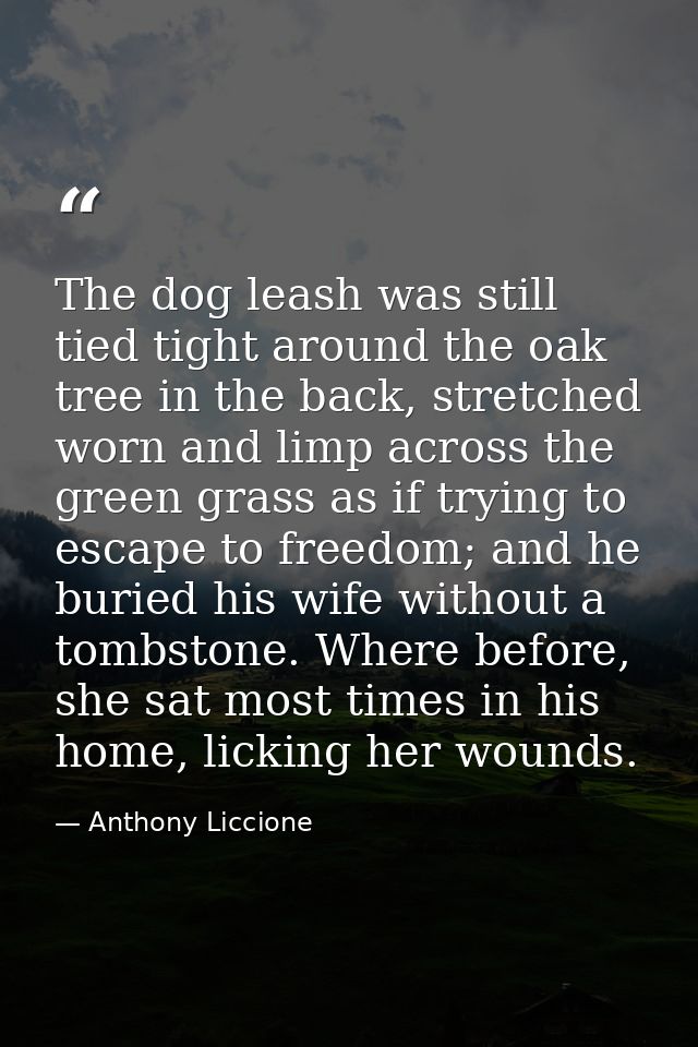 The dog leash was still tied tight around the oak tree in the back, stretched worn and limp across the green grass as if — Anthony Liccione