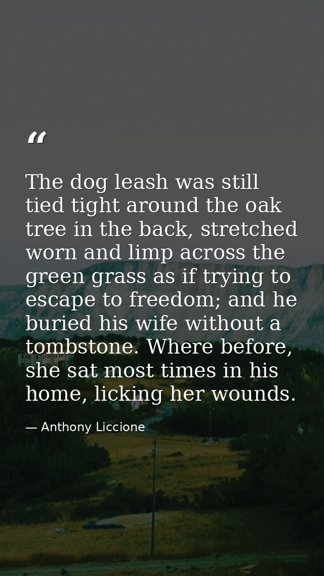 The dog leash was still tied tight around the oak tree in the back, stretched worn and limp across the green grass as if — Anthony Liccione