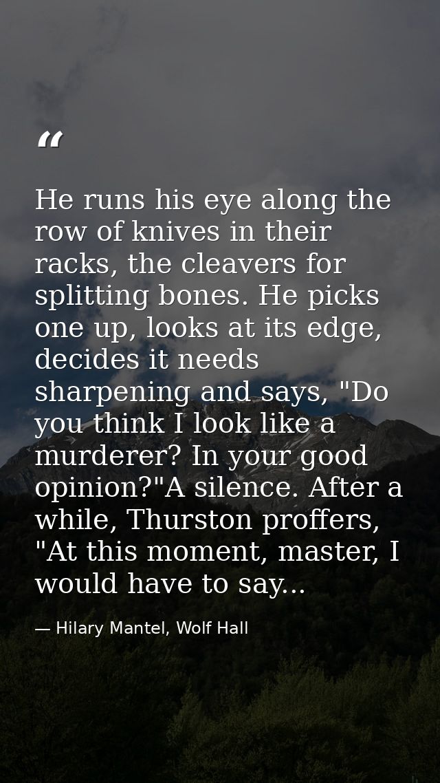 He runs his eye along the row of knives in their racks, the cleavers for splitting bones. He picks one up, looks at its  — Hilary Mantel, Wolf Hall