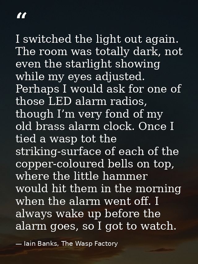 I switched the light out again. The room was totally dark, not even the starlight showing while my eyes adjusted. Perhap — Iain Banks, The Wasp Factory