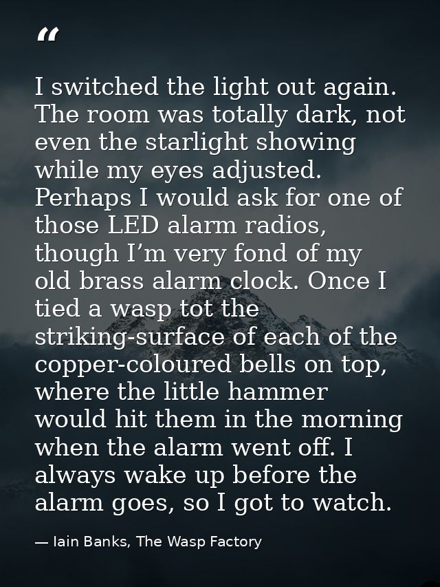 I switched the light out again. The room was totally dark, not even the starlight showing while my eyes adjusted. Perhap — Iain Banks, The Wasp Factory