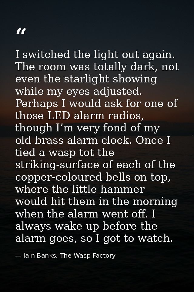 I switched the light out again. The room was totally dark, not even the starlight showing while my eyes adjusted. Perhap — Iain Banks, The Wasp Factory
