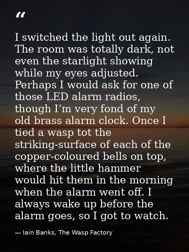 I switched the light out again. The room was totally dark, not even the starlight showing while my eyes adjusted. Perhap — Iain Banks, The Wasp Factory