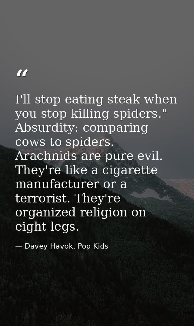 I'll stop eating steak when you stop killing spiders." Absurdity: comparing cows to spiders. Arachnids are pure evil. Th — Davey Havok, Pop Kids