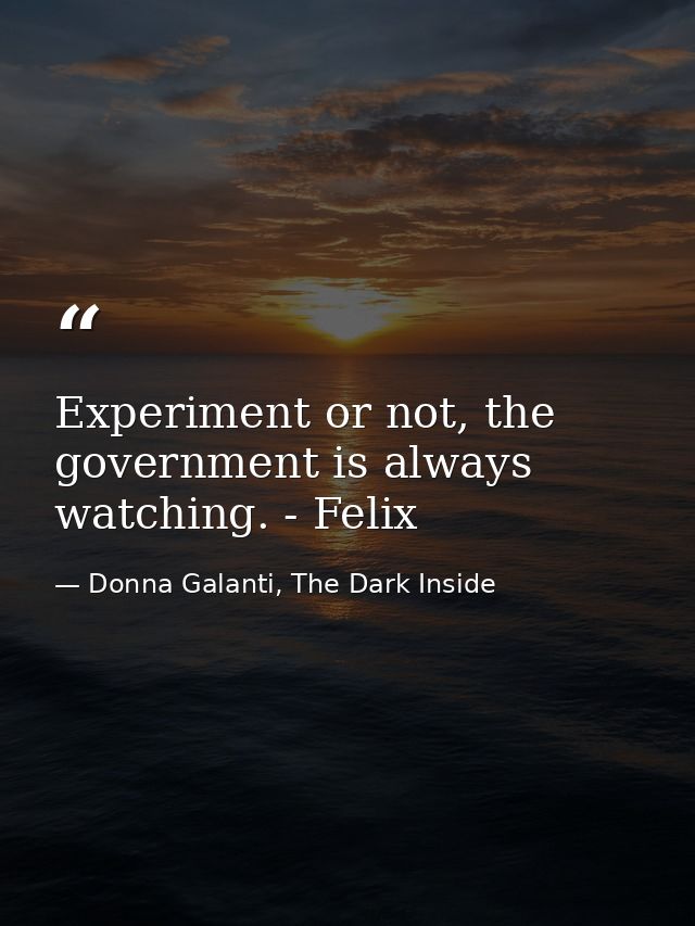 Experiment or not, the government is always watching. - Felix — Donna Galanti, The Dark Inside