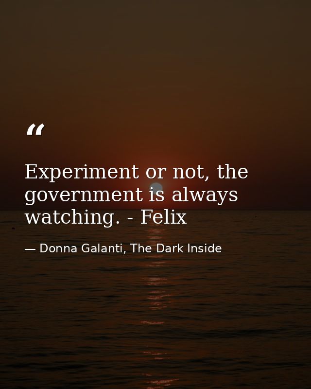 Experiment or not, the government is always watching. - Felix — Donna Galanti, The Dark Inside