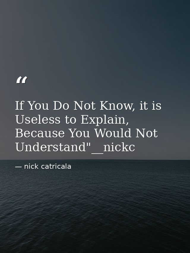 If You Do Not Know, it is Useless to Explain, Because You Would Not Understand"__nickc — nick catricala