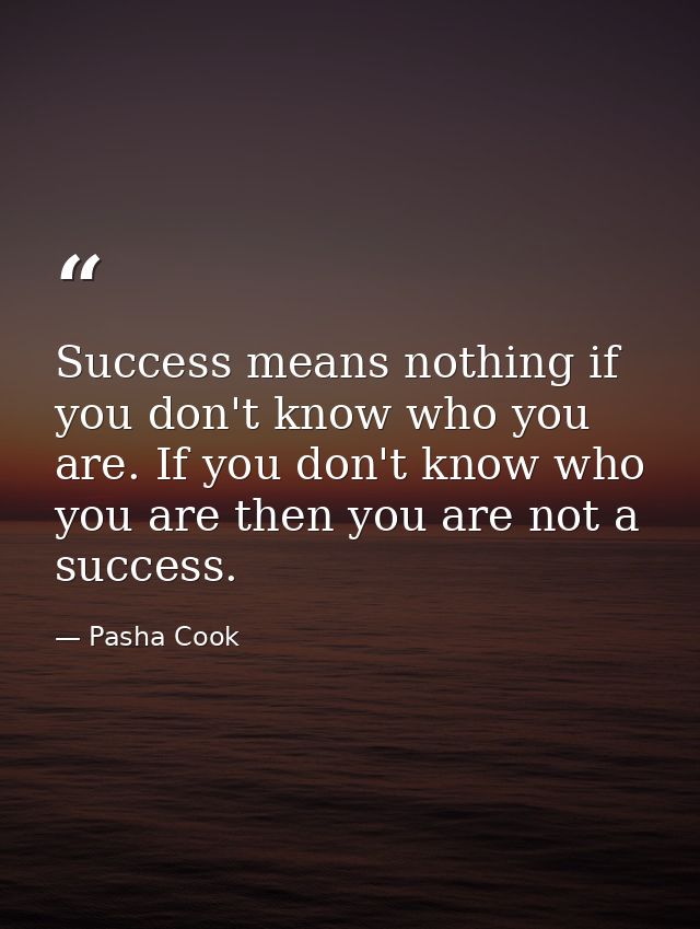 Success means nothing if you don't know who you are. If you don't know who you are then you are not a success. — Pasha Cook