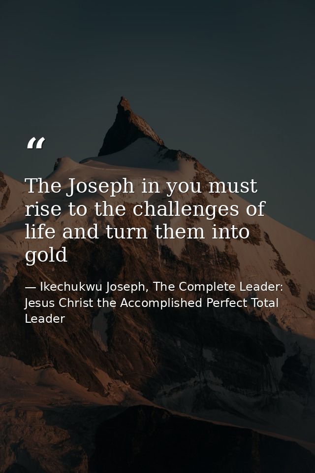 The Joseph in you must rise to the challenges of life and turn them into gold — Ikechukwu Joseph, The Complete Leader: Jesus Christ the Accomplished Perfect Total Leader
