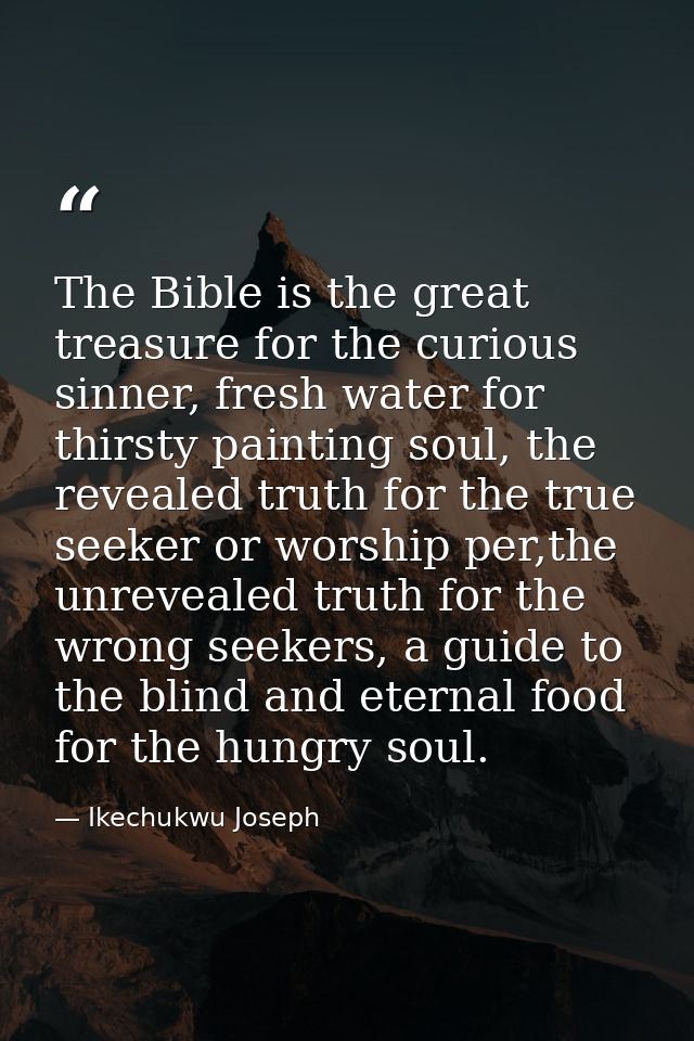 The Bible is the great treasure for the curious sinner, fresh water for thirsty painting soul, the revealed truth for th — Ikechukwu Joseph