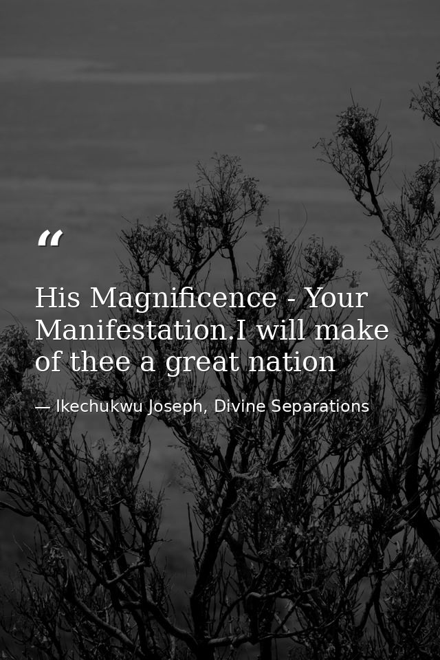 His Magnificence - Your Manifestation.I will make of thee a great nation — Ikechukwu Joseph, Divine Separations