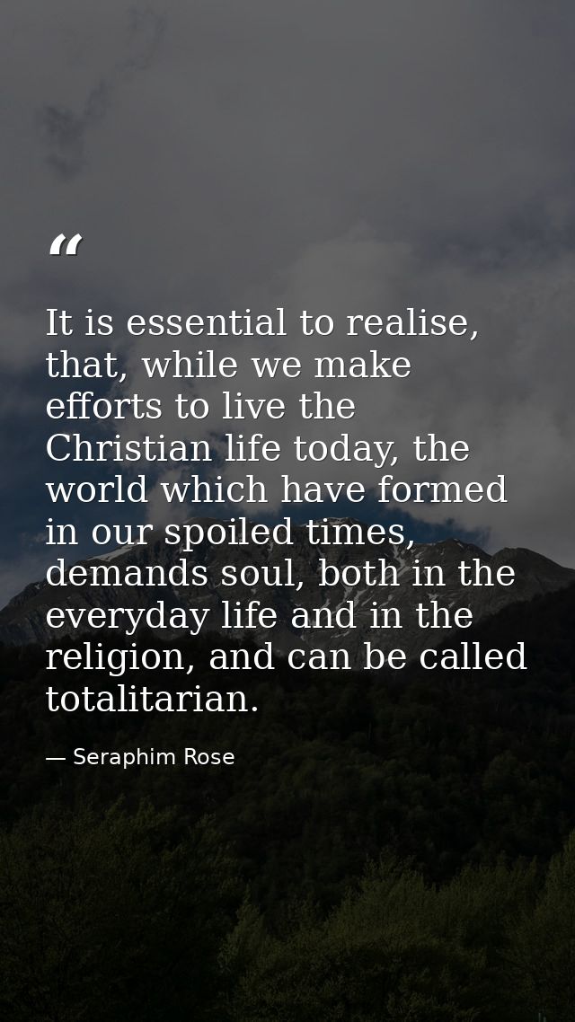 It is essential to realise, that, while we make efforts to live the Christian life today, the world which have formed in — Seraphim Rose