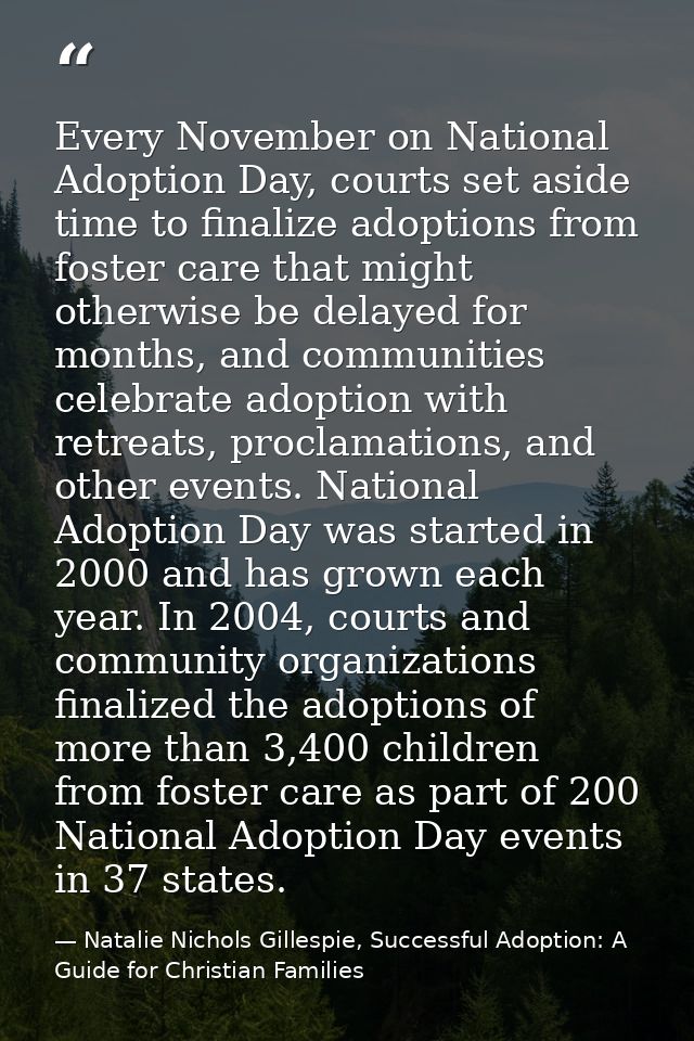 Every November on National Adoption Day, courts set aside time to finalize adoptions from foster care that might otherwi — Natalie Nichols Gillespie, Successful Adoption: A Guide for Christian Families