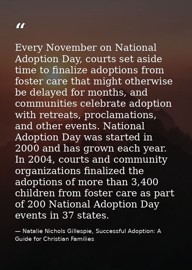 Every November on National Adoption Day, courts set aside time to finalize adoptions from foster care that might otherwi — Natalie Nichols Gillespie, Successful Adoption: A Guide for Christian Families