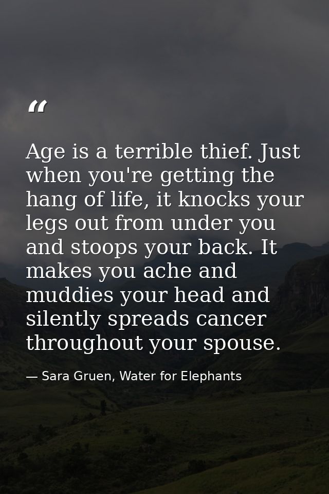 Age is a terrible thief. Just when you're getting the hang of life, it knocks your legs out from under you and stoops yo — Sara Gruen, Water for Elephants
