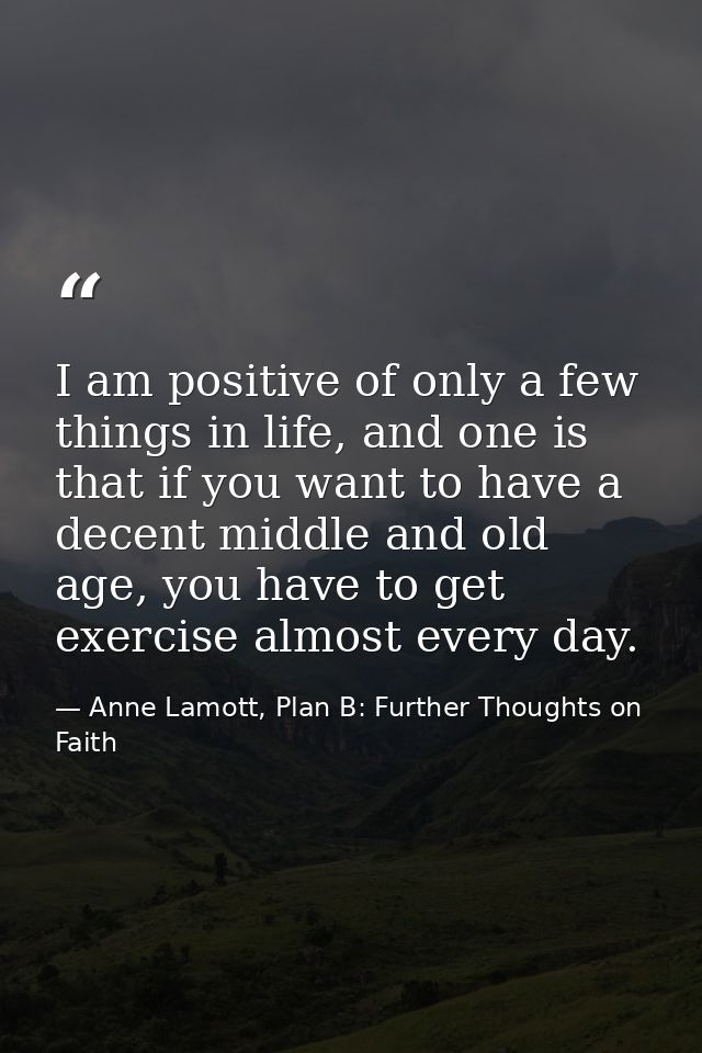 I am positive of only a few things in life, and one is that if you want to have a decent middle and old age, you have to — Anne Lamott, Plan B: Further Thoughts on Faith