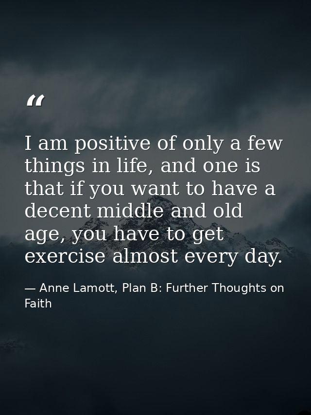 I am positive of only a few things in life, and one is that if you want to have a decent middle and old age, you have to — Anne Lamott, Plan B: Further Thoughts on Faith