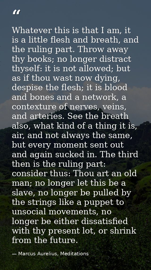 Whatever this is that I am, it is a little flesh and breath, and the ruling part. Throw away thy books; no longer distra — Marcus Aurelius, Meditations