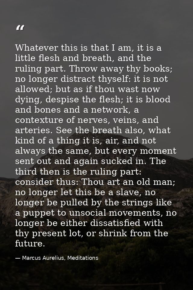 Whatever this is that I am, it is a little flesh and breath, and the ruling part. Throw away thy books; no longer distra — Marcus Aurelius, Meditations