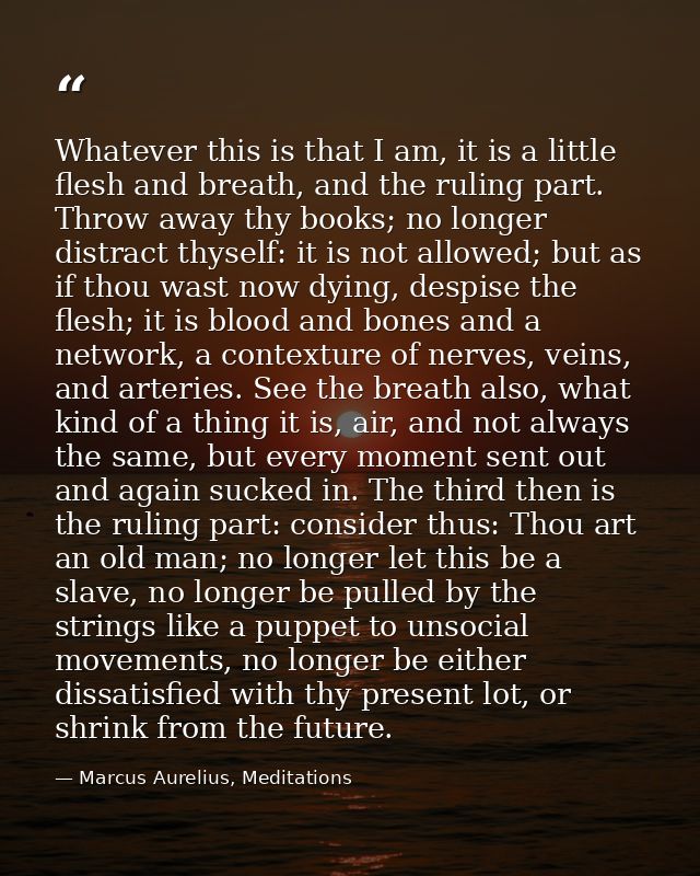 Whatever this is that I am, it is a little flesh and breath, and the ruling part. Throw away thy books; no longer distra — Marcus Aurelius, Meditations