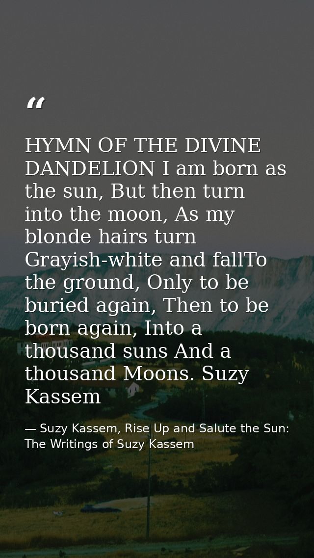 HYMN OF THE DIVINE DANDELION I am born as the sun, But then turn into the moon, As my blonde hairs turn Grayish-white an — Suzy Kassem, Rise Up and Salute the Sun: The Writings of Suzy Kassem