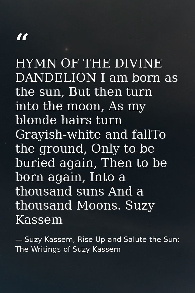 HYMN OF THE DIVINE DANDELION I am born as the sun, But then turn into the moon, As my blonde hairs turn Grayish-white an — Suzy Kassem, Rise Up and Salute the Sun: The Writings of Suzy Kassem