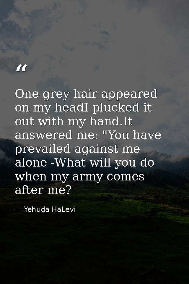 One grey hair appeared on my headI plucked it out with my hand.It answered me: "You have prevailed against me alone -Wha — Yehuda HaLevi