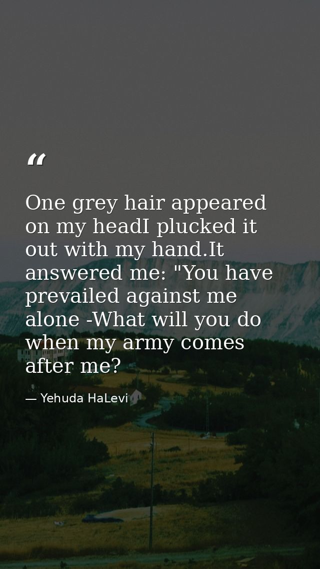 One grey hair appeared on my headI plucked it out with my hand.It answered me: "You have prevailed against me alone -Wha — Yehuda HaLevi