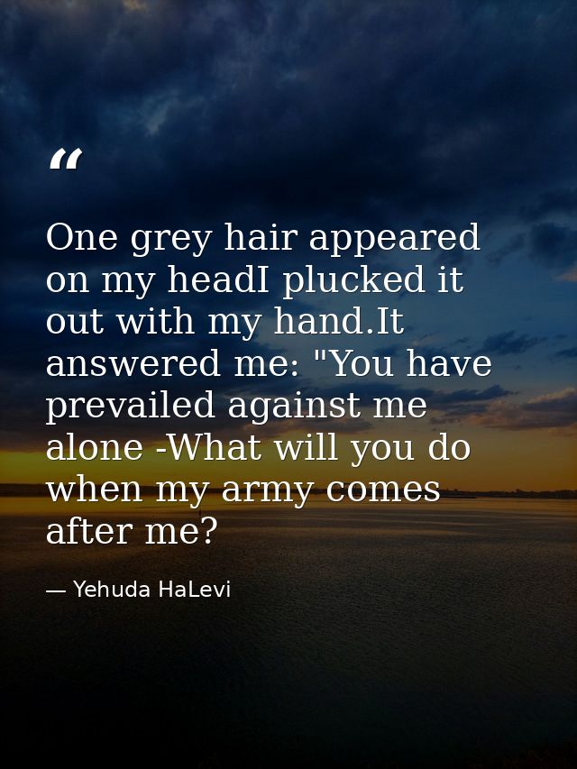 One grey hair appeared on my headI plucked it out with my hand.It answered me: "You have prevailed against me alone -Wha — Yehuda HaLevi