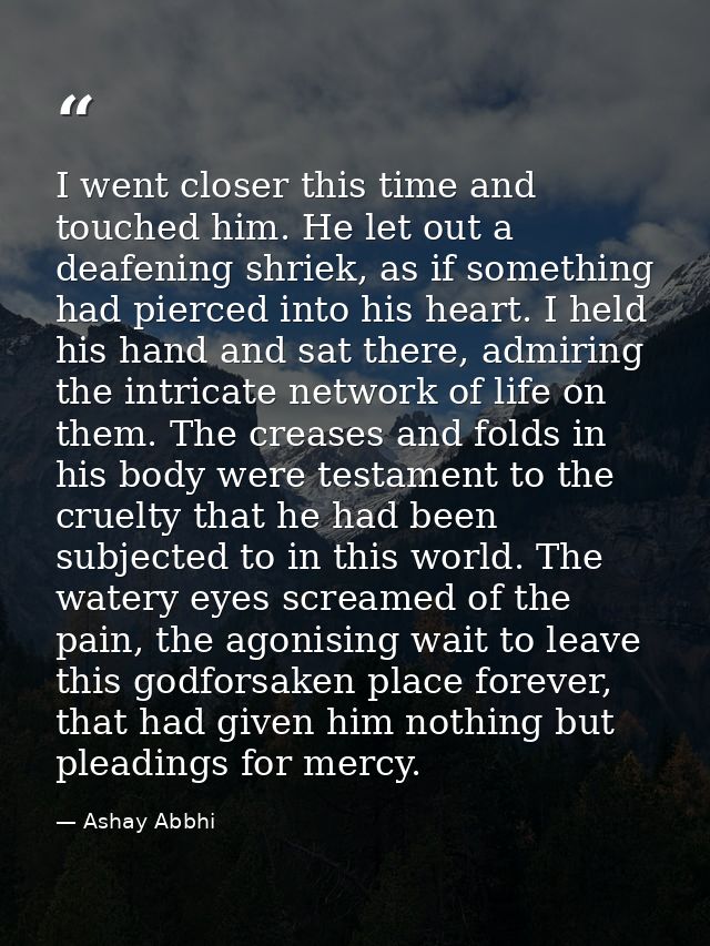 I went closer this time and touched him. He let out a deafening shriek, as if something had pierced into his heart. I he — Ashay Abbhi