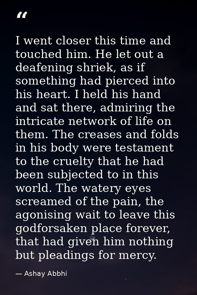 I went closer this time and touched him. He let out a deafening shriek, as if something had pierced into his heart. I he — Ashay Abbhi