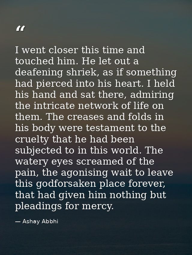 I went closer this time and touched him. He let out a deafening shriek, as if something had pierced into his heart. I he — Ashay Abbhi