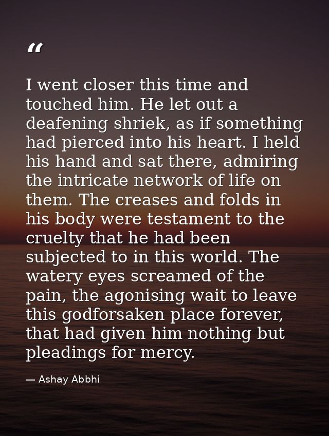 I went closer this time and touched him. He let out a deafening shriek, as if something had pierced into his heart. I he — Ashay Abbhi
