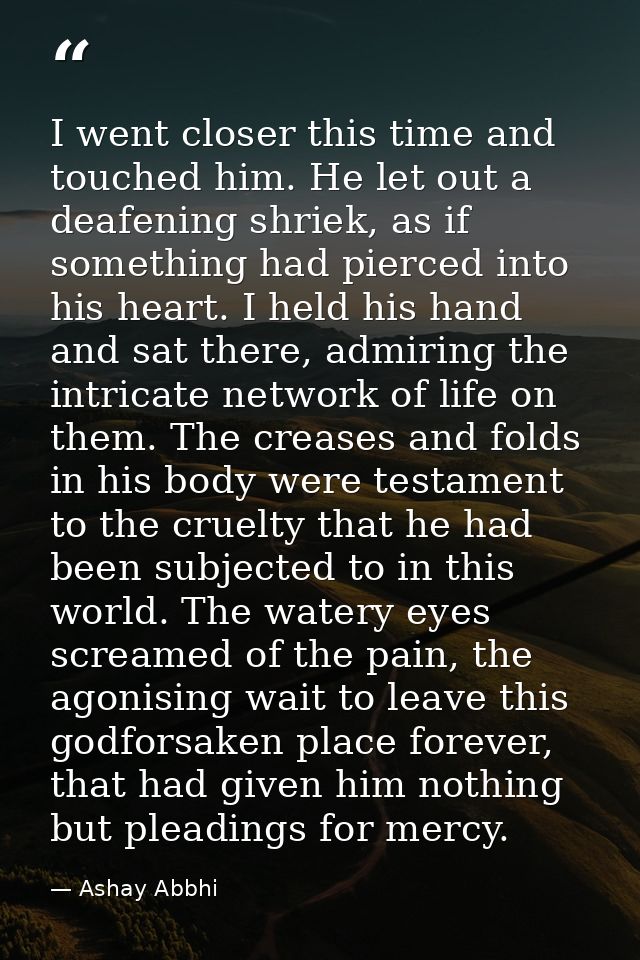 I went closer this time and touched him. He let out a deafening shriek, as if something had pierced into his heart. I he — Ashay Abbhi