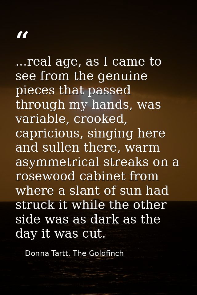 ...real age, as I came to see from the genuine pieces that passed through my hands, was variable, crooked, capricious, s — Donna Tartt, The Goldfinch