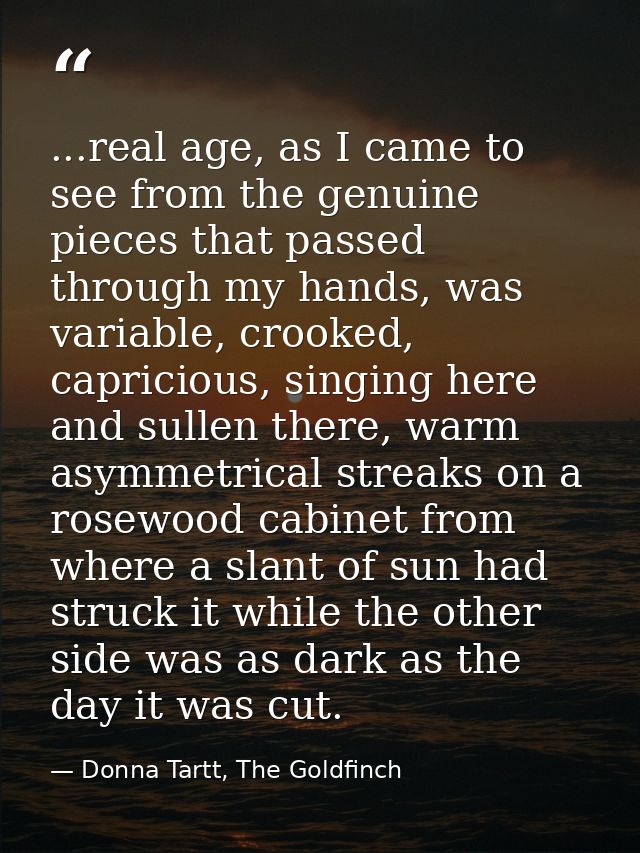 ...real age, as I came to see from the genuine pieces that passed through my hands, was variable, crooked, capricious, s — Donna Tartt, The Goldfinch