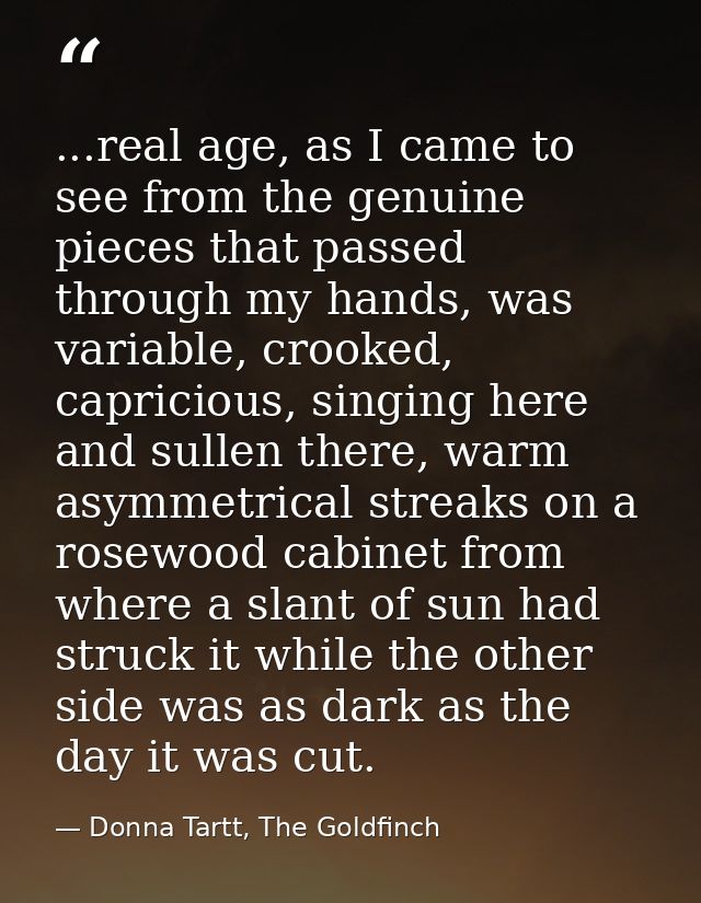 ...real age, as I came to see from the genuine pieces that passed through my hands, was variable, crooked, capricious, s — Donna Tartt, The Goldfinch