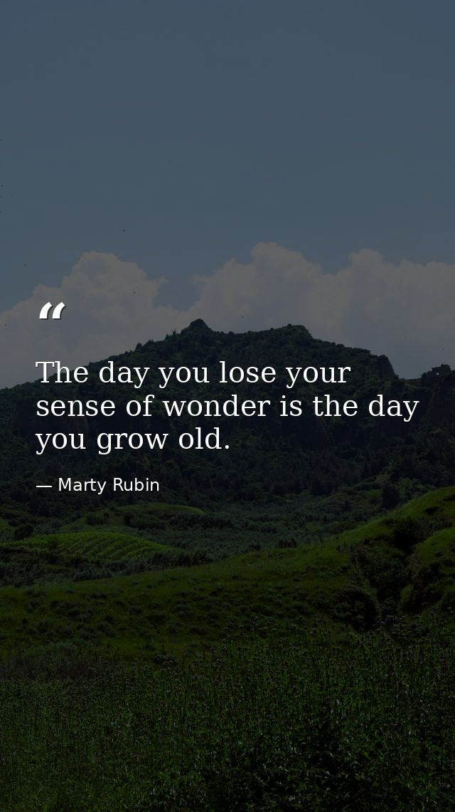 The day you lose your sense of wonder is the day you grow old. — Marty Rubin